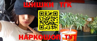 индика Малгобек