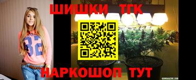 индика Малгобек