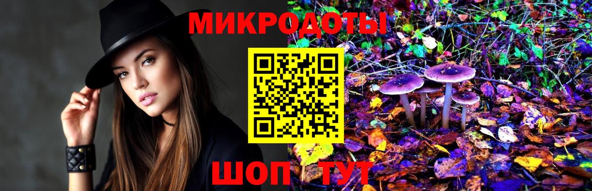 Ессентуки  Галлюциногенные грибы Psilocybe  Вход с VPN 