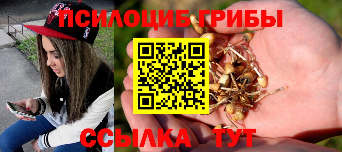 Псилоцибиновые грибы ЛСД Ессентуки